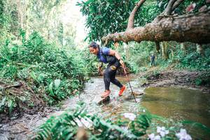 BIB: 
                            <button type="button" onclick="openModal(25518184)" class="btn btn-primary btn-sm float-right btn-popup" data-toggle="modal" data-target=".modal-high-quality">
                        <i class="fas fa-shopping-cart"></i> Add to Cart
                    </button>
                                            <button type="button" onclick="isThisMe(25518184, true)" class="btn btn-success btn-sm float-right btn-popup btn-isme hidden" data-toggle="tooltip" data-placement="bottom" title="นี่คือรูปของคุณใช่ไหม คลิกที่นี่เพื่อเอาเข้าอัลบั้ม">
                        <i class="fas fa-plus"></i> Add to album
                    </button>
                    <button type="button" onclick="isThisMe(25518184, false)" class="btn btn-warning btn-sm float-right btn-popup btn-isnotme hidden">
                        <i class="fas fa-ban"></i> Remove from album
                    </button>